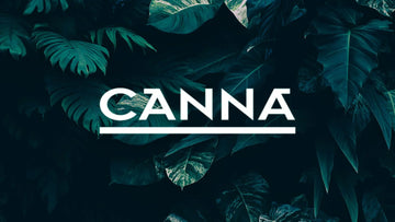 Canna