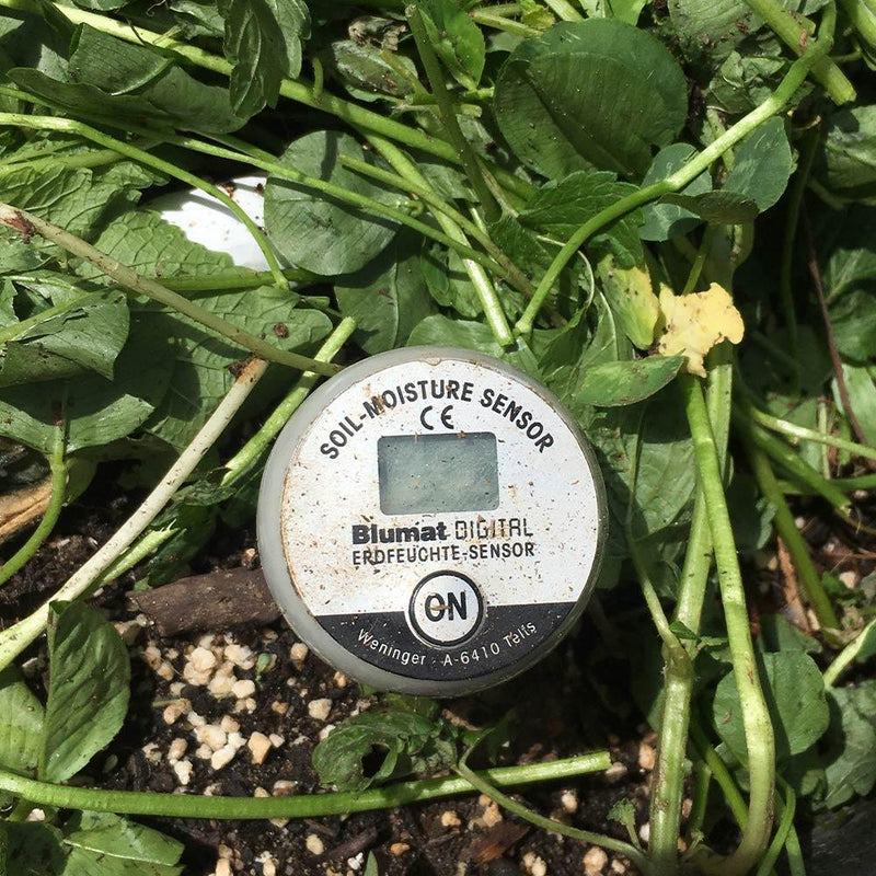 Blumat Digital Moisture Meter - Options