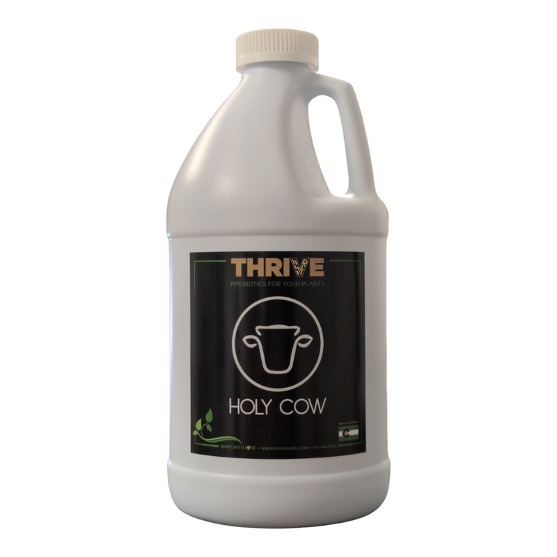 Thrive Yah-Whey Concentrate: Holy Cow - Quart
