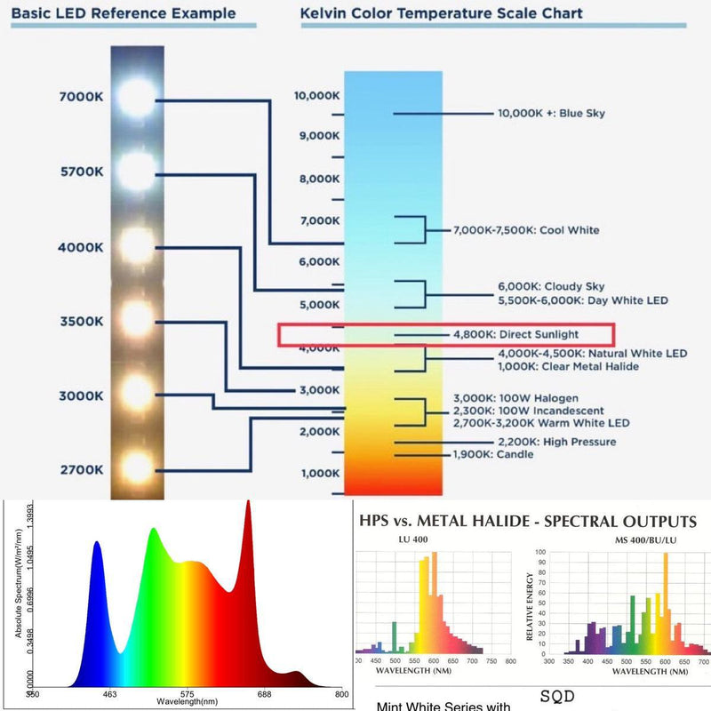 Mammoth Lighting - 8 Bar 880W  Mint White Series with Emerald Green Canna Spectrum - Default Title