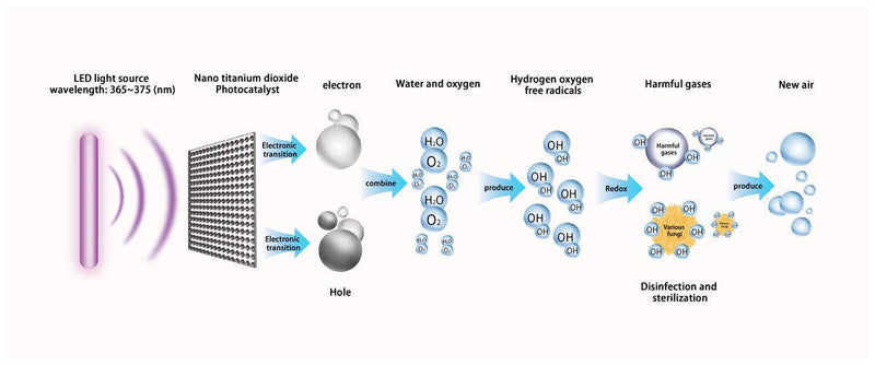 Mammoth Lighting - Capture & Kill Air + Surface Sanitizer - Default Title