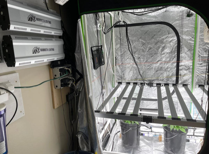 Mammoth Lighting - Extension Cords for Mint White Series, Fold Series + UV Kit - 15 Foot Cord for 10 Bar Mint White UV series