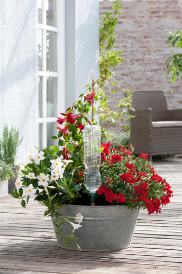 Blumat Easy Bottle Adapter Plant Watering Stake