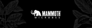 Mammoth