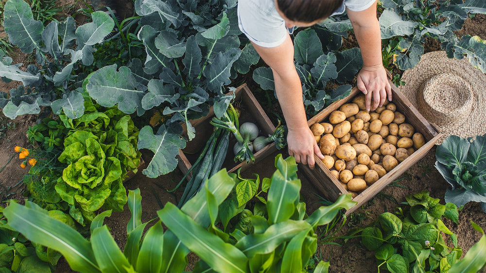 Organic Gardening