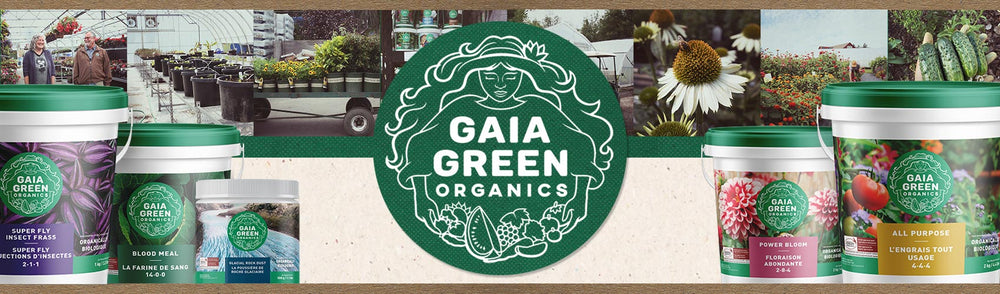 Gaia Green