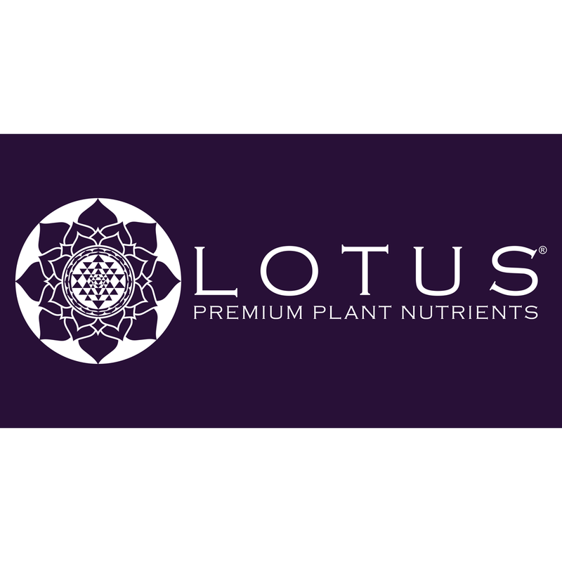 Lotus