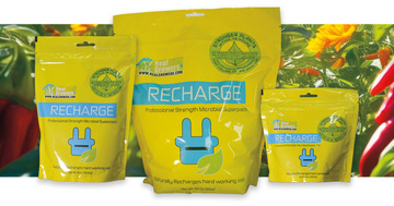 Real Growers Recharge