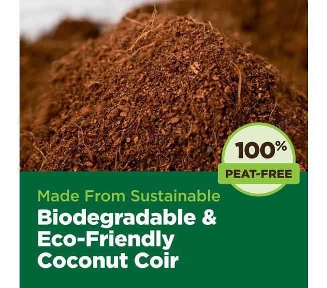 Char Coir Coco Coin