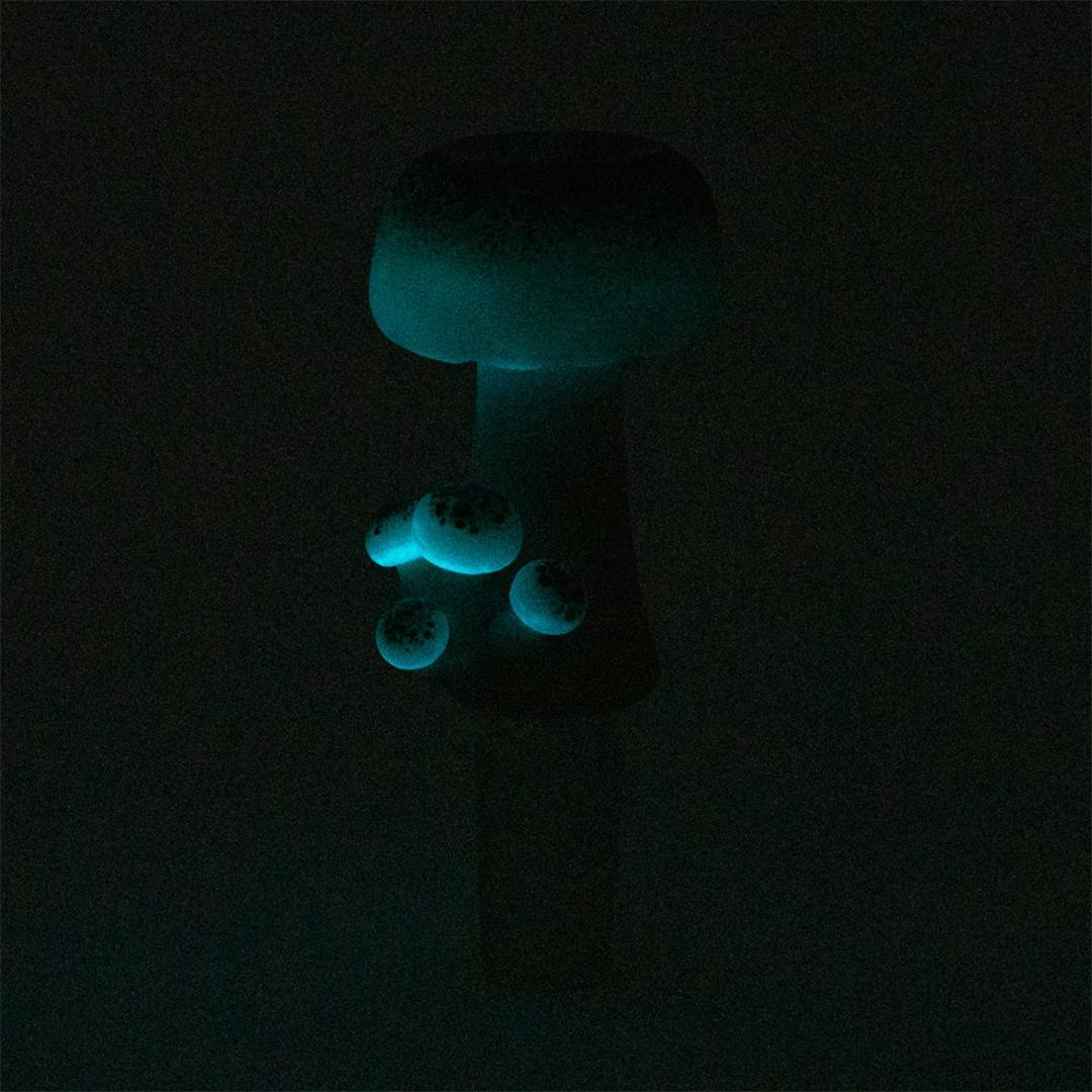 Empire Glassworks - Mushroom Bowl