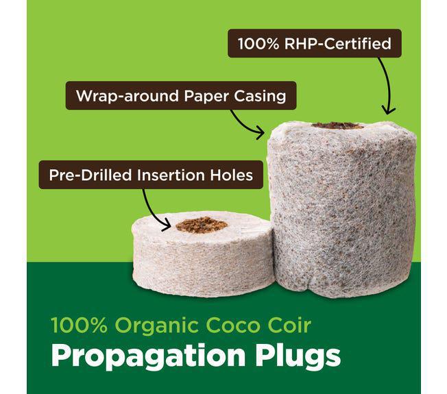 Char Coir Coco Coin