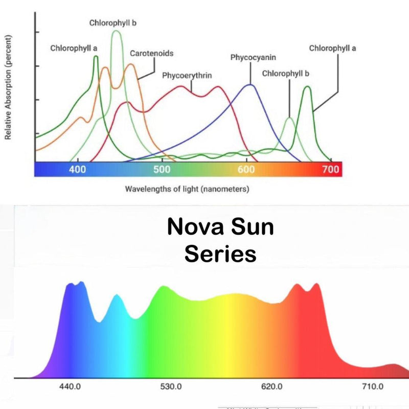 Mammoth Lighting - 8 Bar / 820w / Nova Sun Series - Default Title