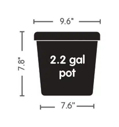AutoPot Plastic Pots - 3.9 Gallon