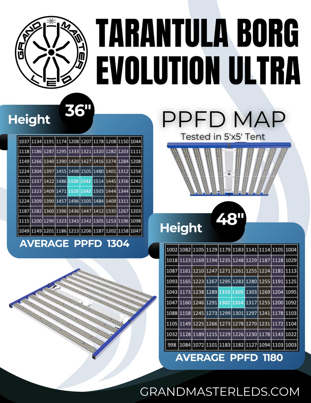 Grand Master Tarantula Borg Evolution Ultra
