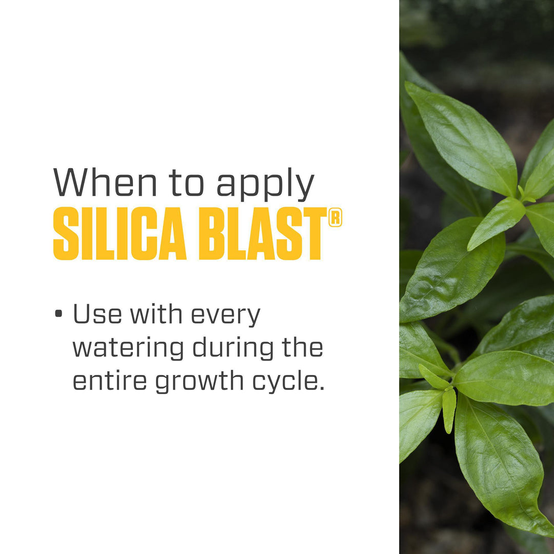 Botanicare Silica Blast