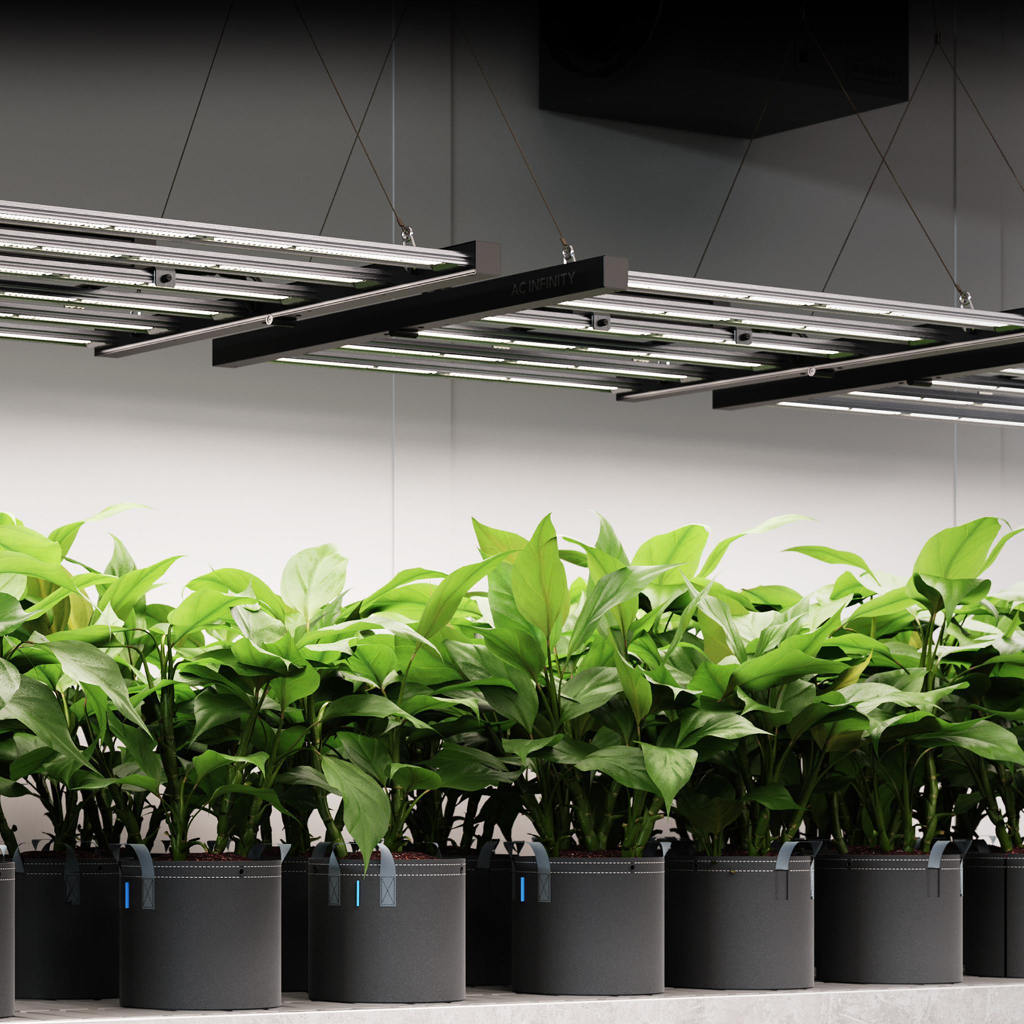 Ac Infinity IONFRAME EVO LED Grow Light – Greener Gardens