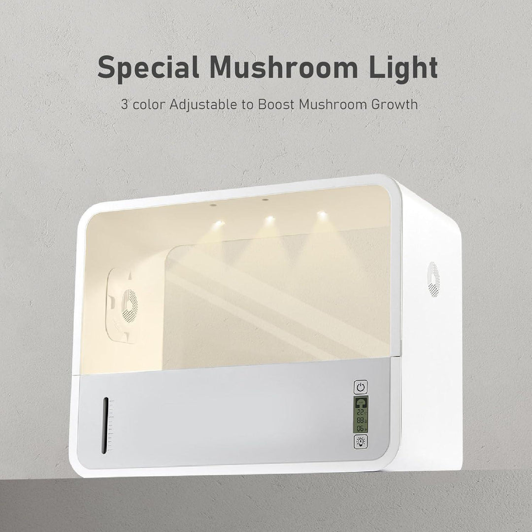 Mushroom Eco Box