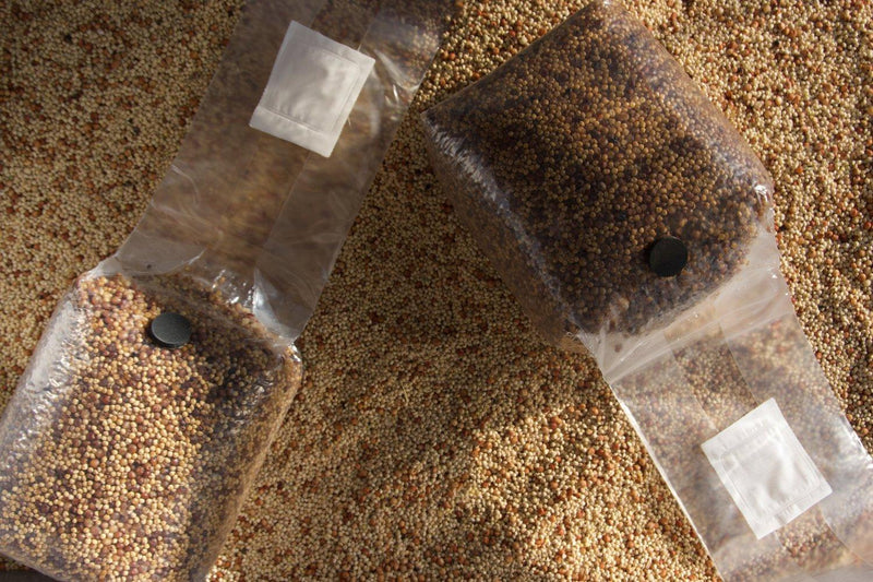 The Mushroom Block - Sterilized Grain Bag - Default Title