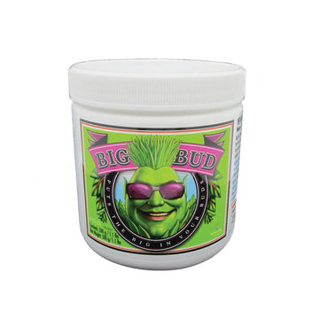 Advanced Nutrients Big Bud Powder