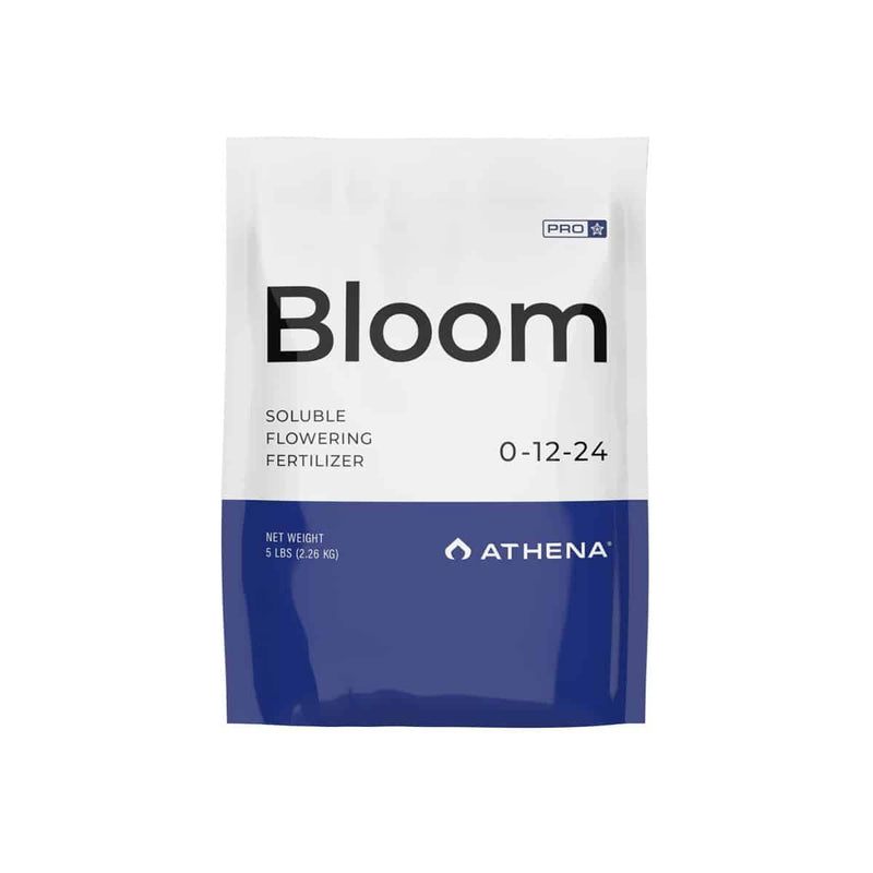 Athena Bloom - 2 lb