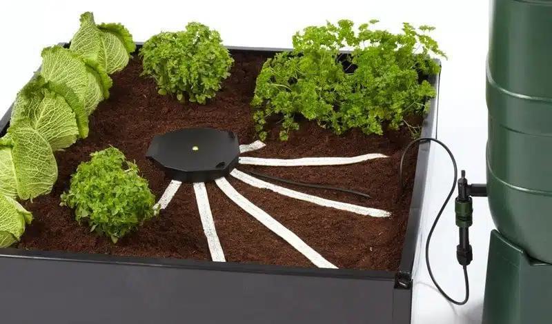 AutoPot AQUAbox Spyder – Wide Raised Beds & Allotments