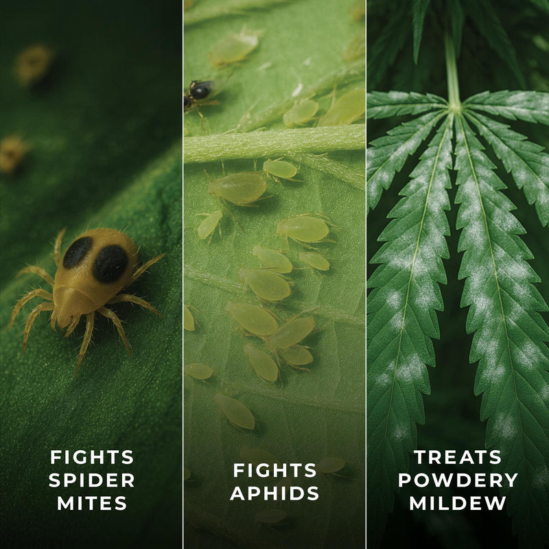 Athena IPM Foliar Kit - Default Title