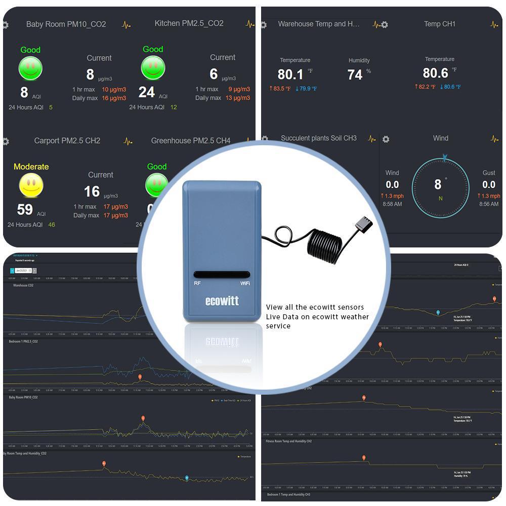 Ecowitt GW1100 Wi-Fi Gateway