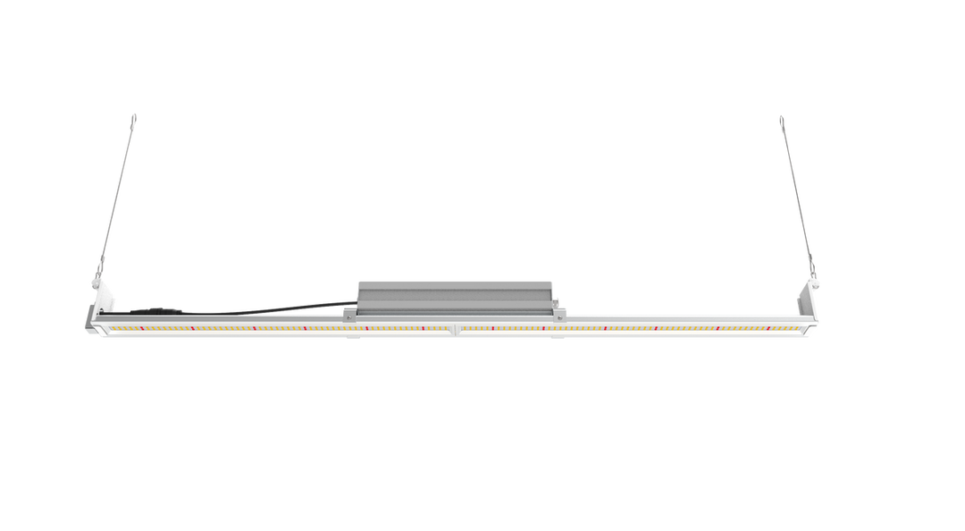 Mammoth Lighting - 100w Single Bar - Multi Use