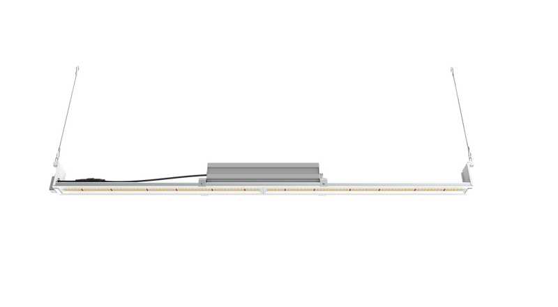 Mammoth Lighting - 100w Single Bar - Multi Use - 100w Single Bar