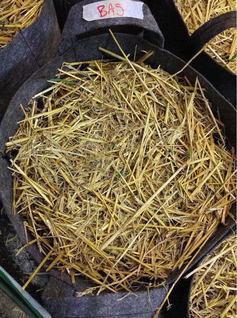 BuildASoil Organic Straw Mulch - 2 Cubic Foot Box