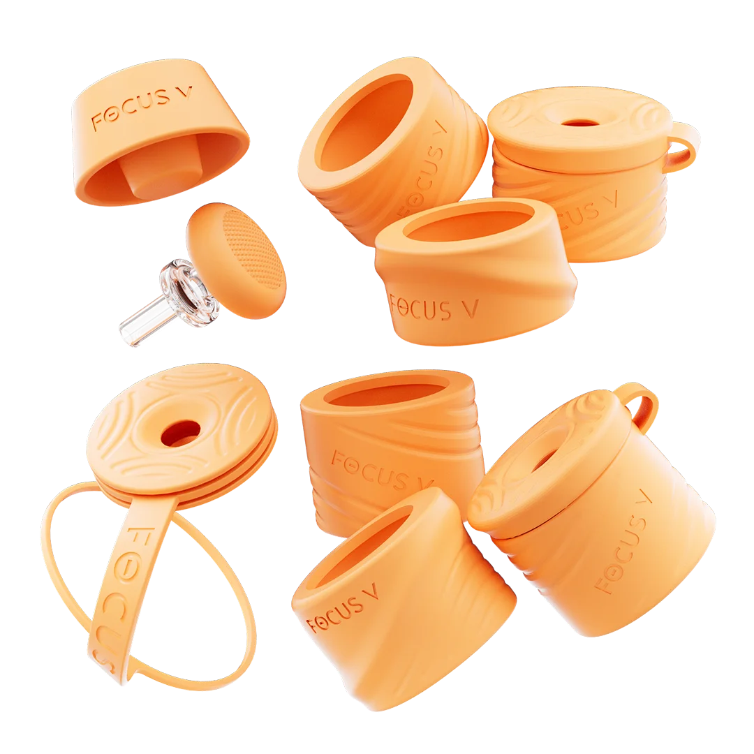 Focus V  Carta Swivel and Silicone Accessory Kit