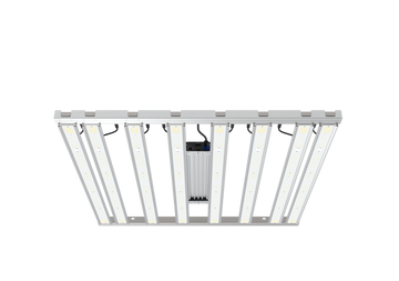 Grand Master Tarantula Tent Ultimate 4x4 V2