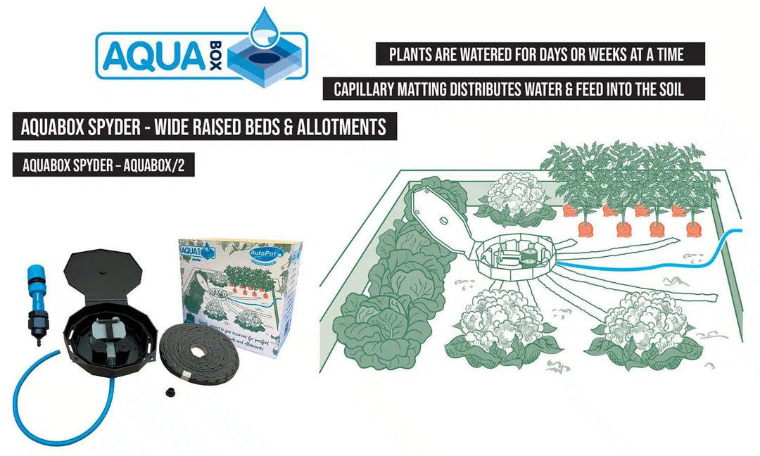 AutoPot AQUAbox Spyder – Wide Raised Beds & Allotments