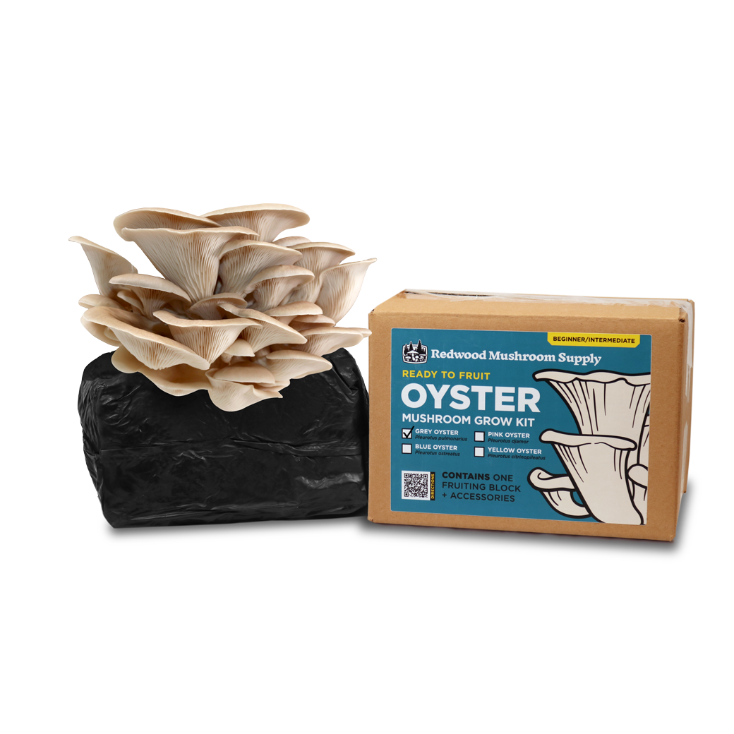 Redwood Mushroom Supply - Colonized Fruiting Blocks