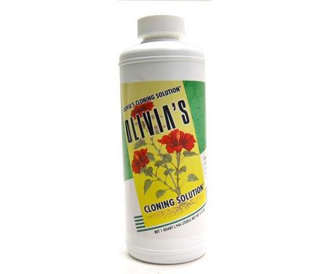 Olivia's Clone Solution - Quart