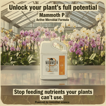 Mammoth P Active Microbials - 250 ml