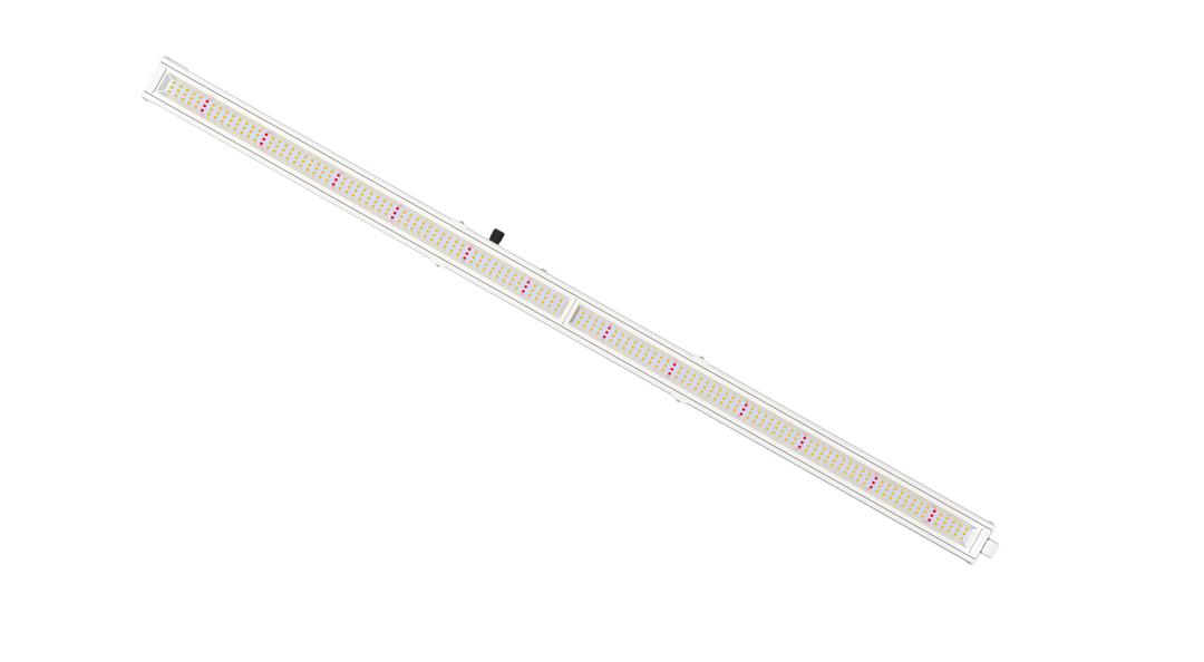 Mammoth Lighting - 100w Single Bar - Multi Use