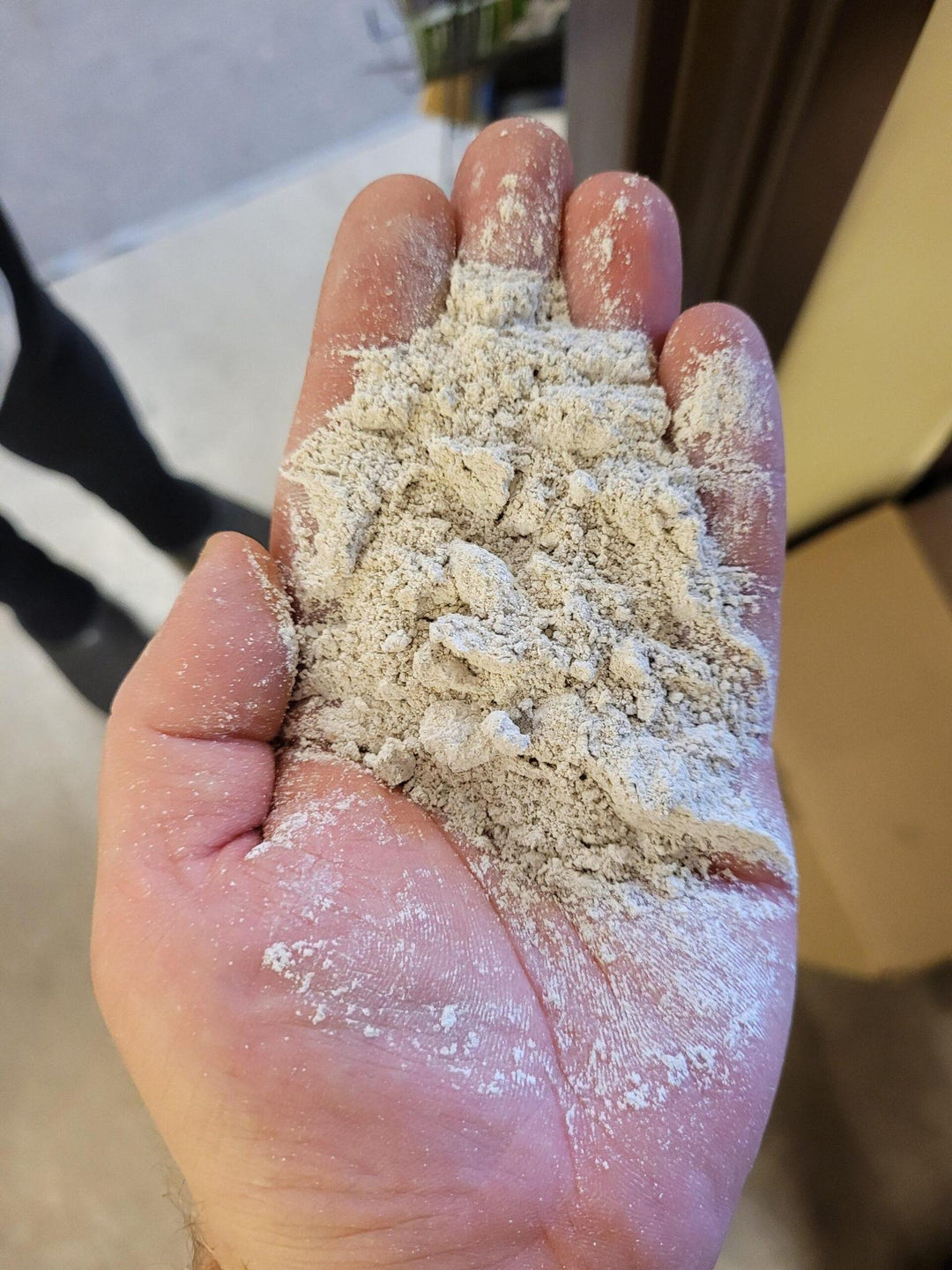 Coastal Oyster Shell Flour