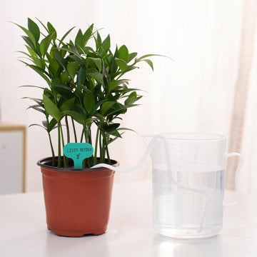 Self-Watering Wick