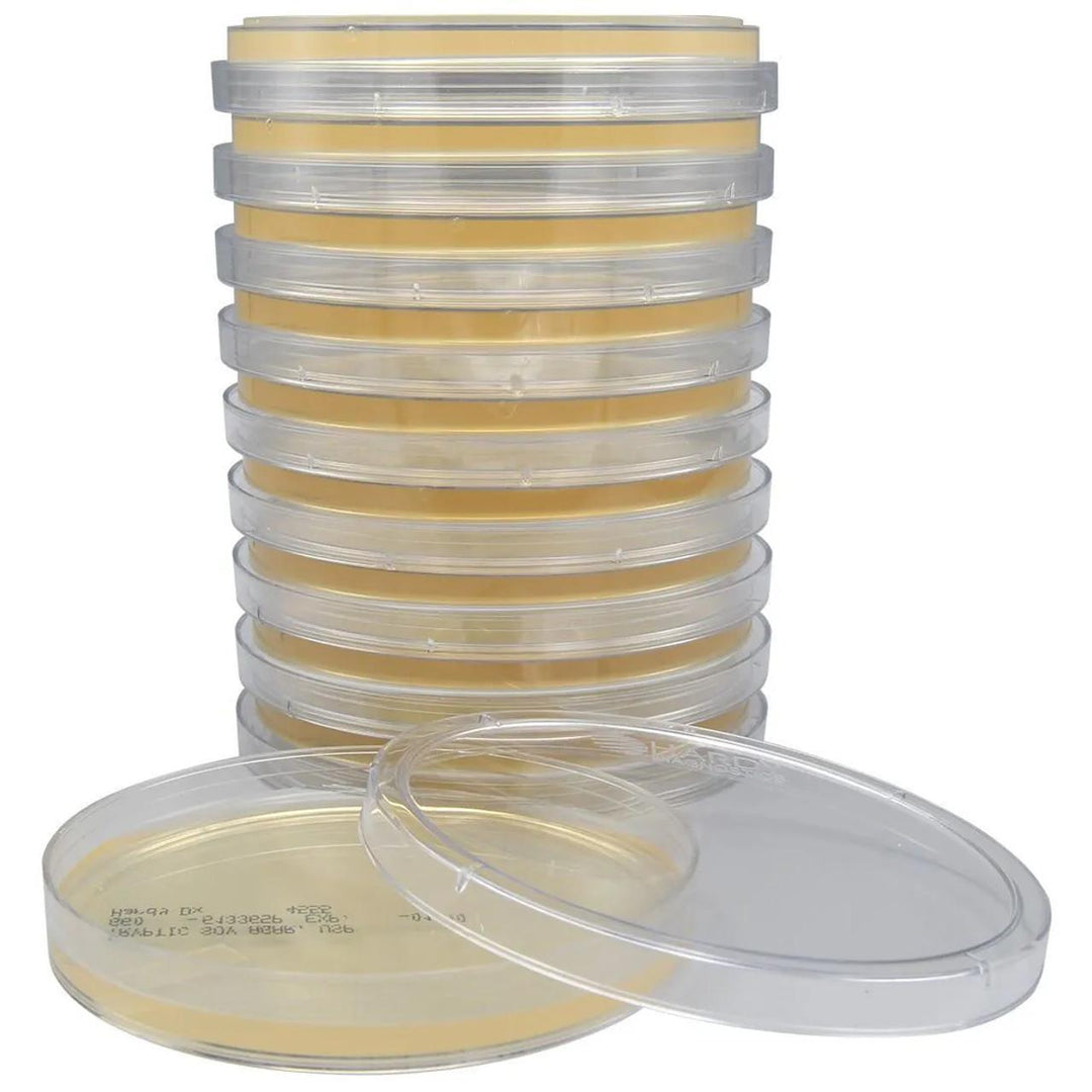 Agar Plates x10