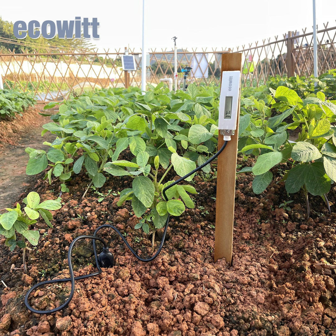 Ecowitt WH51L Moisture Meter Deep