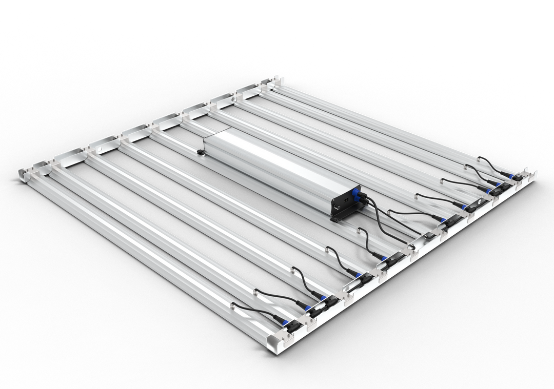 Grand Master Tarantula Tent Ultimate 5x5 V2