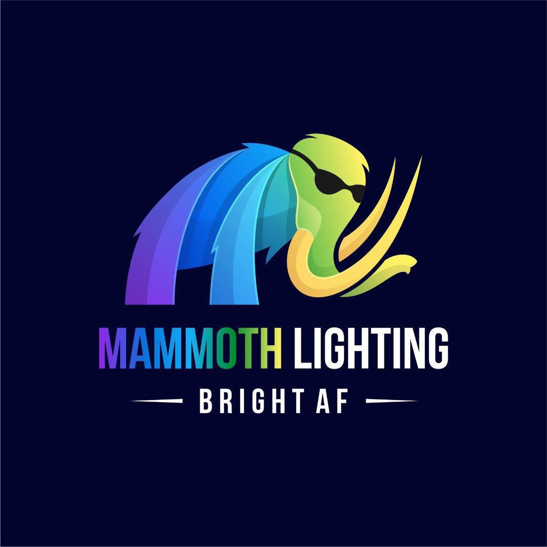 Mammoth Lighting - Bluetooth Led Controllers