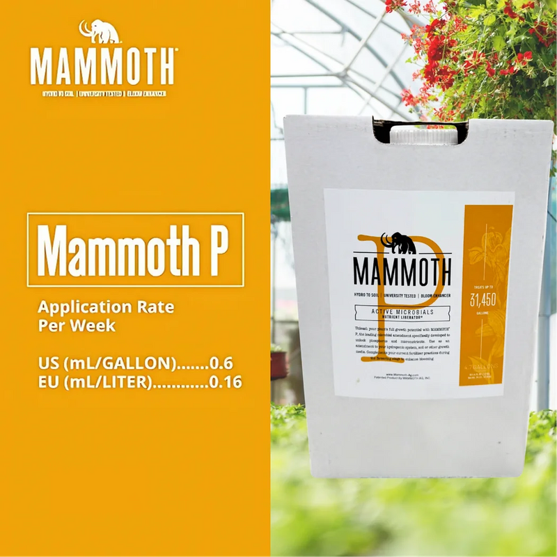 Mammoth P Active Microbials - 250 ml