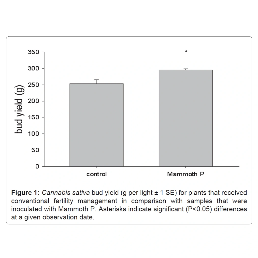 Mammoth P Active Microbials