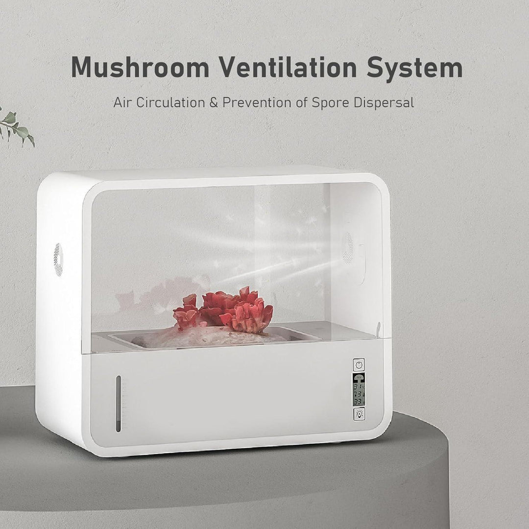 Mushroom Eco Box