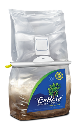 ExHale CO2 Bag