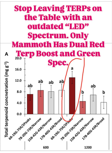 Mammoth Lighting - Nova Sun Series Multi-use Bars: 2 Bar Kit 300w