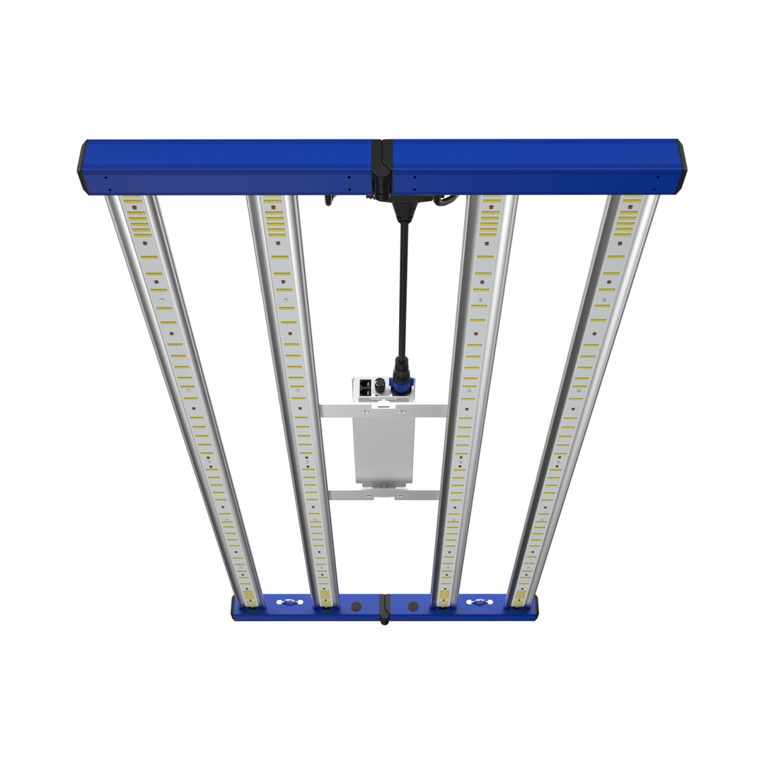 Grand Master Tarantula Tent Ultimate 2x4 V2