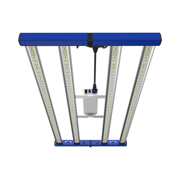 Grand Master Tarantula Tent Ultimate 2x4 V2